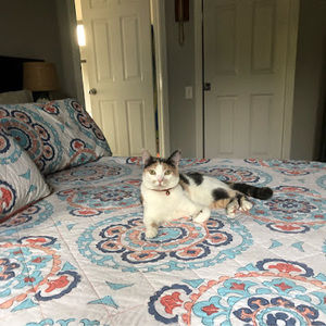 Meet your Posher, Brigiett